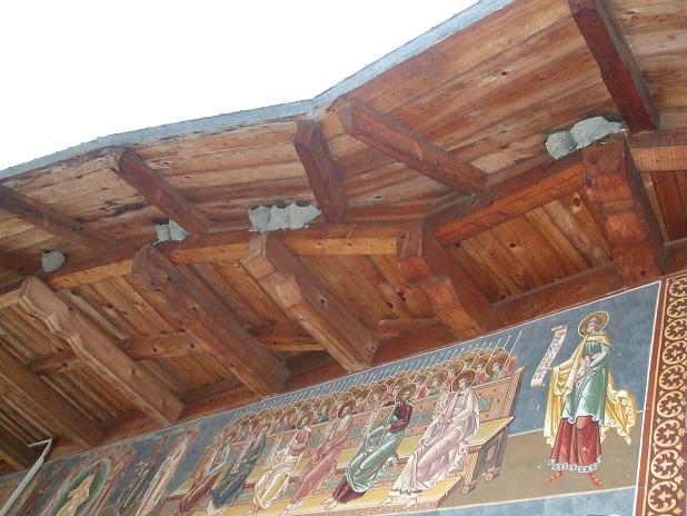 Cuiburi de randunele