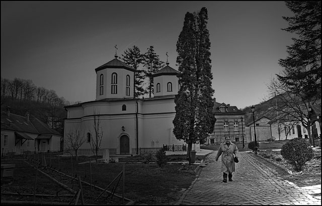 У Раковици