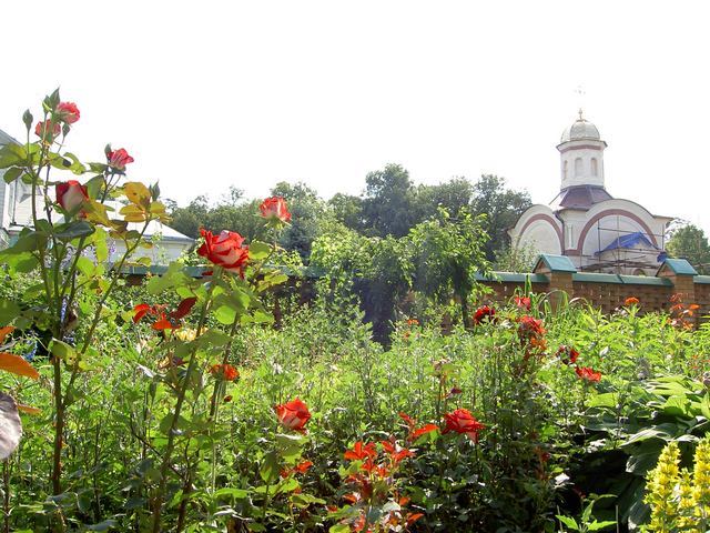Pielgrzymka do Rosji
