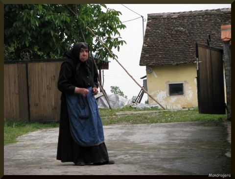 u Bogovadji