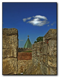 AleksaSrbin 
Ружица 
2009-07-31 07:41:16