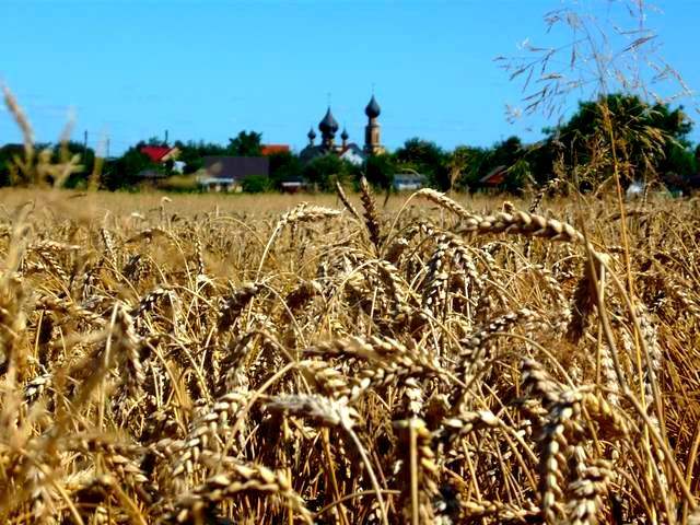 Cerkiew Zaśnięcia NMP w Bielsku Podlaskim; woj.podlaskie