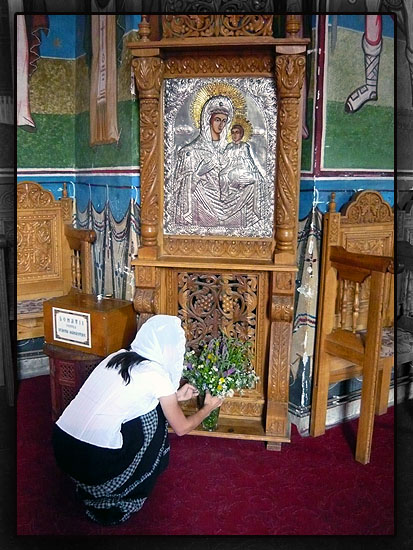 flori de camp Maicii Domnului