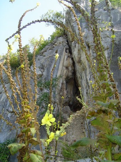 Isposnica