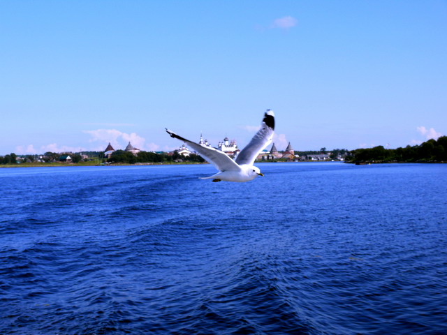 Fly to infinity