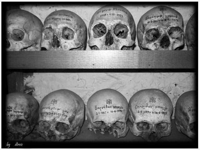 Sfinti ce privesc la noi din ne-murire :The saints hwo look to us from immortality