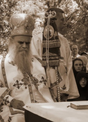 ketevanbd 
Празник Архангела, манастир Михољска Превлака 
2009-08-02 14:32:42
