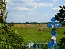 Arkadiusz 
Крест 
2009-08-15 09:55:15