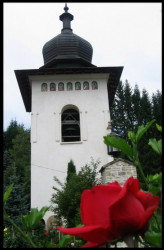 raluca_mihaela 
 
2009-08-21 20:55:39