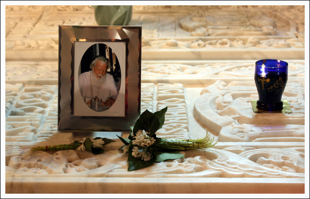 flowers of the patriarch ... / florile patriarhului ...