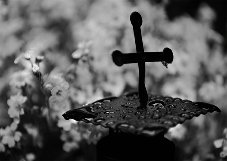 cross between drops