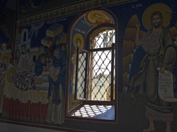 toza 
Манастир Велика Ремета (7) 
2009-09-04 20:01:40