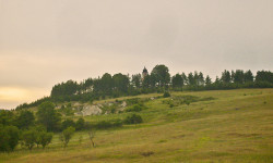rasonna 
преобразилсја јеси на горје... 
2009-09-04 20:49:08