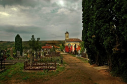 AleksaSrbin 
коначиште 
2009-09-04 21:47:25