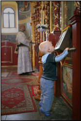hmiodrag 
Целивање иконе 
2009-09-13 19:44:20