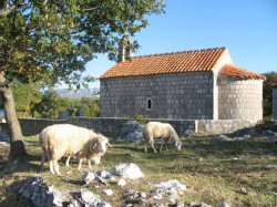 Suroti 
MANASTIR SVETOG SPIRIDONA 
2009-09-24 13:35:14