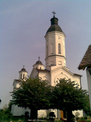 predragratkovi 
 
2009-09-27 20:58:03