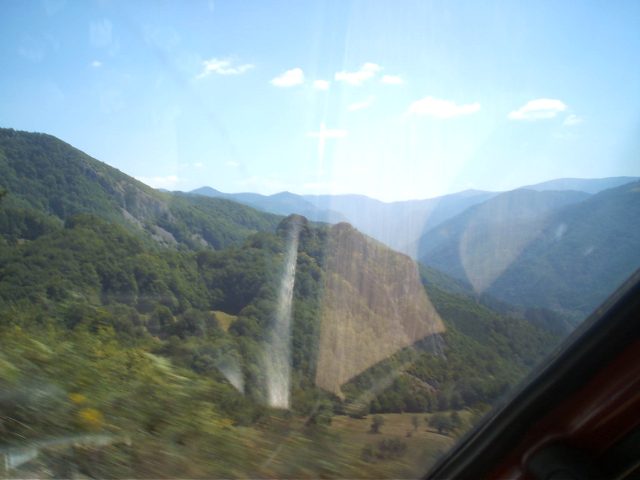 A picture taken in Christ's Forest 