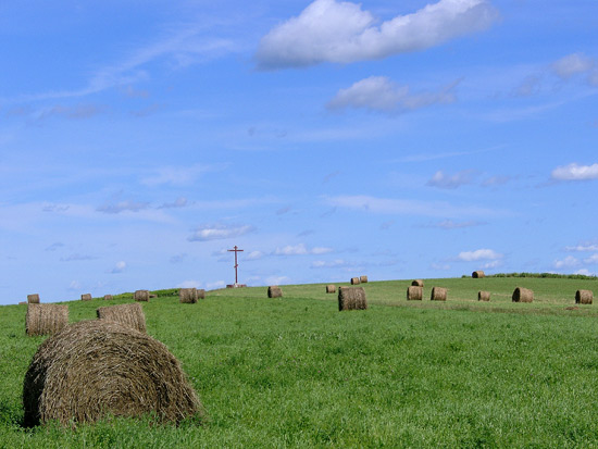 the cross