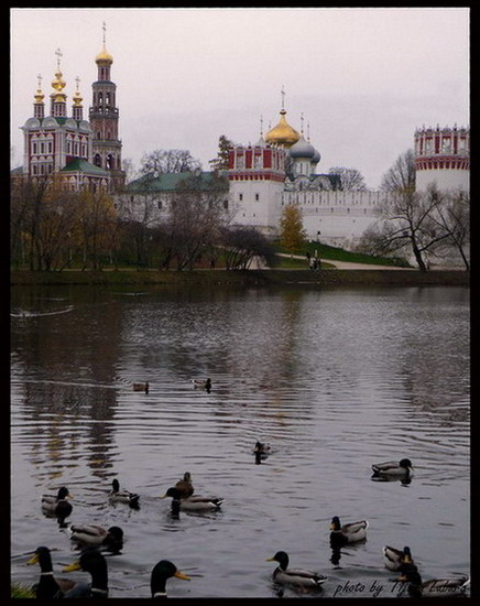 Новодевички манастир, Москва