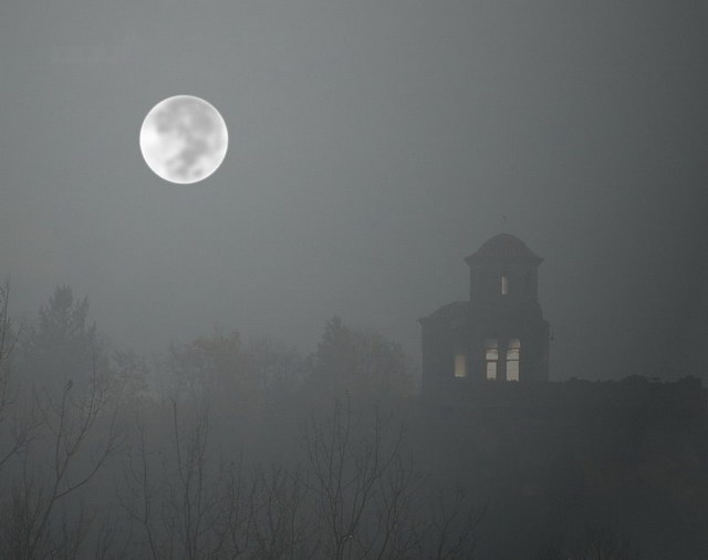 Stara Pavlica