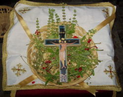 rosmarinus 
Спаси Господи људи Твоја... 
2009-10-04 16:05:34
