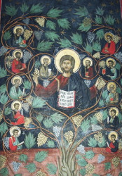 Mitrut Popoiu 
"Eu sunt Viţa, voi sunteţi mlădiţele" -"I am the Vine, you are the branches" (Ioan 15,5) 
2009-10-05 00:20:52