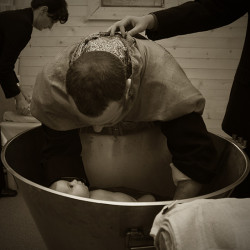 ovidiu_m 
baptism(3) 
171 
2009-10-06 20:11:01
