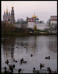 Tixy 
Новодевички манастир, Москва 
2009-10-18 18:40:57
