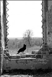 VladN 
Our sins are heavy indeed 10 (Грехи наши тяжкие 10) 
2009-10-20 16:40:36