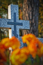 Obiektyw 
+++ 
2009-10-26 14:39:56