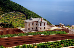 actylise 
St. Pavel Chapel  - Mount  Athos 
2009-10-26 23:39:16