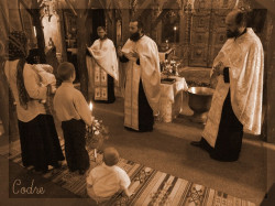 codre 
at baptize - listening to the sermon  
2009-10-27 21:26:45