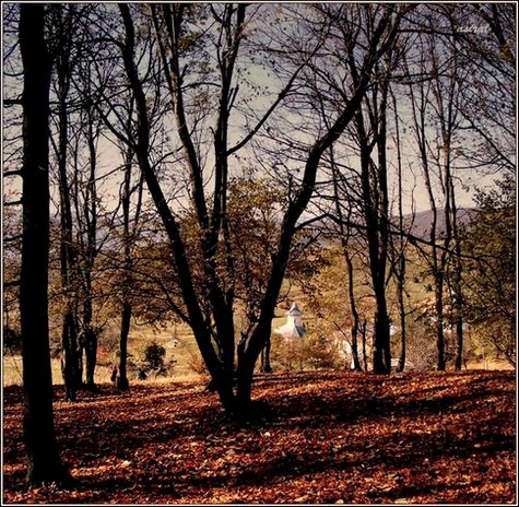 ~Carnu~  (II)