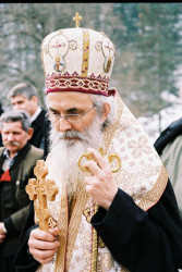 dragan79 
Vladika 
2009-11-05 02:00:51