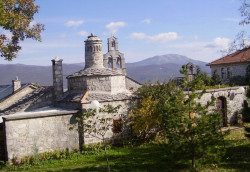 rosmarinus 
Манастир Добрићево / Dobrićevo monastery 
2009-11-08 19:47:21