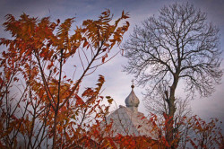 Pit_Zsak_79 
Jesień. 
2009-11-09 15:41:46