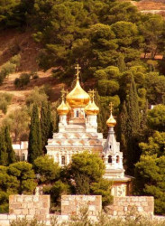 krasimir_p 
Jerusalim, Eleon, Marto-Mariyski 
2009-11-15 19:58:47