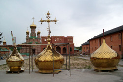Diyana 
Голосеева пустиня 
2009-11-16 13:20:59