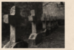 Anima_Mea 
 
2009-11-16 18:22:35