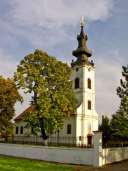 Zoran Sremski 
Силбаш - Silbaš 
2009-11-25 22:51:03