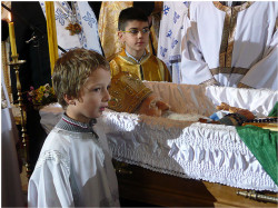 miszacz 
Вечная память! 
2009-11-28 23:38:11
