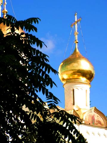 Маковки Троицкого собора.