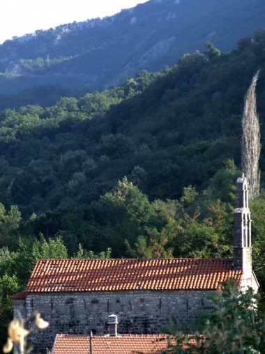 Monastery Donji Brceli
