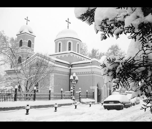 Под снегом