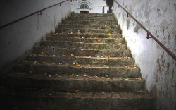 AleksaSrbin 
пут ка храму  II 
2009-12-10 07:25:43
