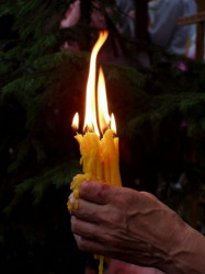 korec 
Za zywych i zmarlych. 
2009-12-10 10:53:22