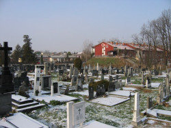 dule 
Два града 
2009-12-12 11:57:46