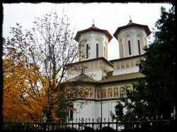 ovidiu 
Biserica din Ghencea | Capatul tramvaiului 41 
2009-12-28 10:08:09