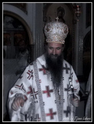 TijanaZemun 
Епископ будимљанско-никшићки Јоаникије Мићовић 
2009-12-31 18:11:03